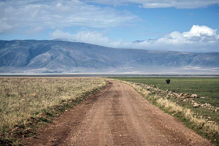 TZA ARU Ngorongoro 2016DEC26 Crater 073